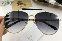 Burberry Sunglasses AAA (352)