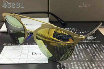 Dior Sunglasses AAA (221)