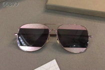 Dior Sunglasses AAA (1603)