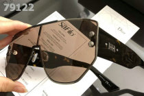 Dior Sunglasses AAA (673)