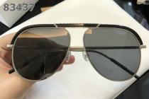 Dior Sunglasses AAA (1022)