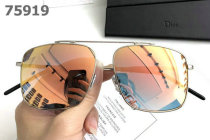 Dior Sunglasses AAA (348)