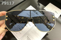 Dior Sunglasses AAA (667)
