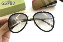 Burberry Sunglasses AAA (197)