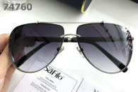 Chopard Sunglasses AAA (168)