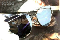 Dior Sunglasses AAA (1155)