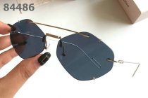 Dior Sunglasses AAA (1100)