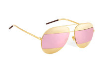 Dior Sunglasses AAA (1164)