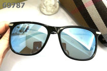 Burberry Sunglasses AAA (259)