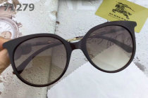 Burberry Sunglasses AAA (313)