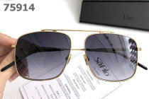 Dior Sunglasses AAA (343)