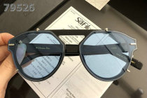 Dior Sunglasses AAA (730)