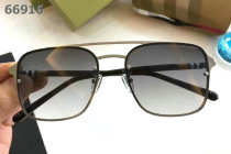 Burberry Sunglasses AAA (213)