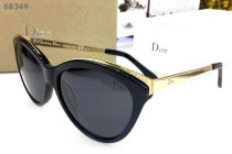 Dior Sunglasses AAA (1666)