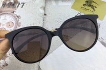 Burberry Sunglasses AAA (311)
