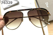 Dior Sunglasses AAA (388)