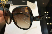 Dior Sunglasses AAA (688)