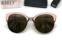 Dior Sunglasses AAA (1074)