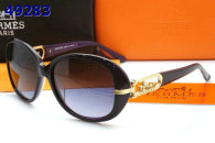 Hermes Sunglasses AAA (26)