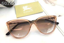 Burberry Sunglasses AAA (94)