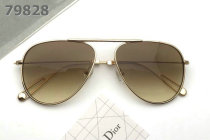 Dior Sunglasses AAA (764)