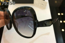 Dior Sunglasses AAA (686)