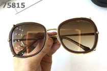Roberto Cavalli Sunglasses AAA (271)