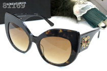 D&G Sunglasses AAA (573)