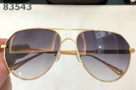 Tom Ford Sunglasses AAA (1333)