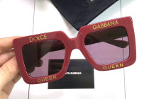 D&G Sunglasses AAA (449)