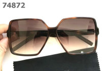 YSL Sunglasses AAA (348)