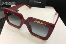 D&G Sunglasses AAA (421)
