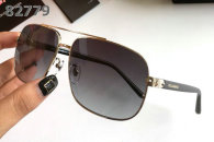 D&G Sunglasses AAA (595)