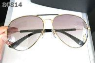 YSL Sunglasses AAA (492)