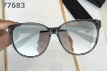 YSL Sunglasses AAA (409)