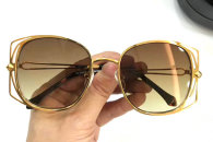 Roberto Cavalli Sunglasses AAA (304)
