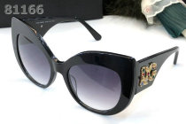D&G Sunglasses AAA (570)