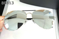 YSL Sunglasses AAA (491)