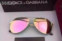 D&G Sunglasses AAA (91)