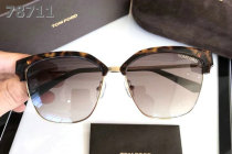 Tom Ford Sunglasses AAA (934)