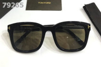 Tom Ford Sunglasses AAA (975)