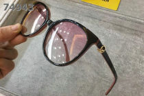 Fendi Sunglasses AAA (499)