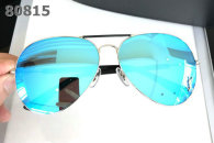 YSL Sunglasses AAA (493)