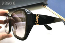 YSL Sunglasses AAA (266)