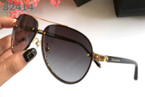 D&G Sunglasses AAA (584)