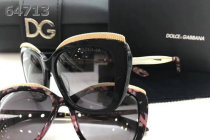 D&G Sunglasses AAA (230)