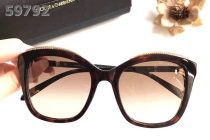 D&G Sunglasses AAA (145)