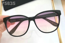 YSL Sunglasses AAA (385)