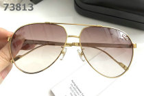 D&G Sunglasses AAA (393)