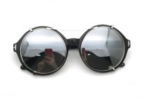 Tom Ford Sunglasses AAA (792)